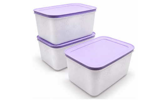 Conj Congeladoras 2,5L(3)